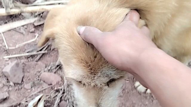 我发布了一个新视频，快来围观吧！