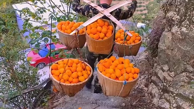 我是男人，我都觉得这个兄弟真行