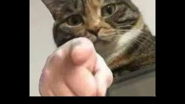 三角洲最不务正业主播教你玩三角洲