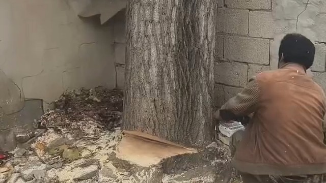 口虽然开的有点大，但安全最重要！