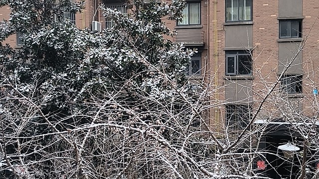 下雪了
