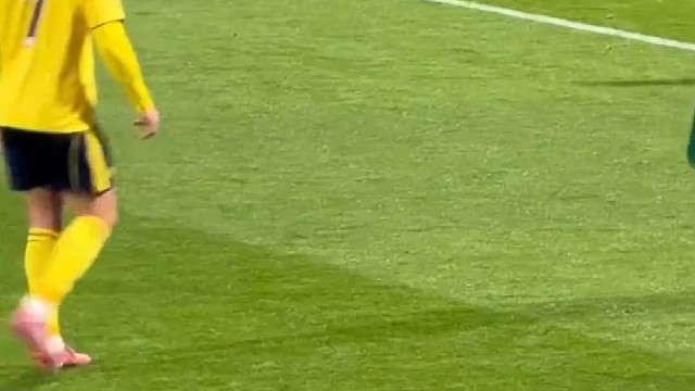 我罗哥准备倒挂金钩 结果硬生生被拉住了