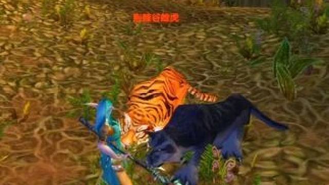 时光服10个颜值和实力并存的猫科 生存猎加强后的强力宝宝