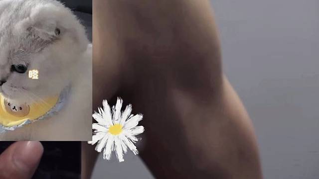 薄肌女孩