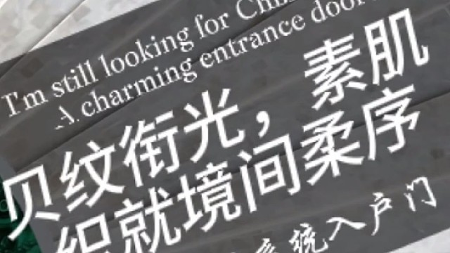 贝纹衔光，素肌织就境间柔序#TINNO帝诺系统入户门 #别墅门 #系统门 #上海