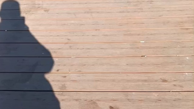 小风嗖嗖的还好还好有太阳