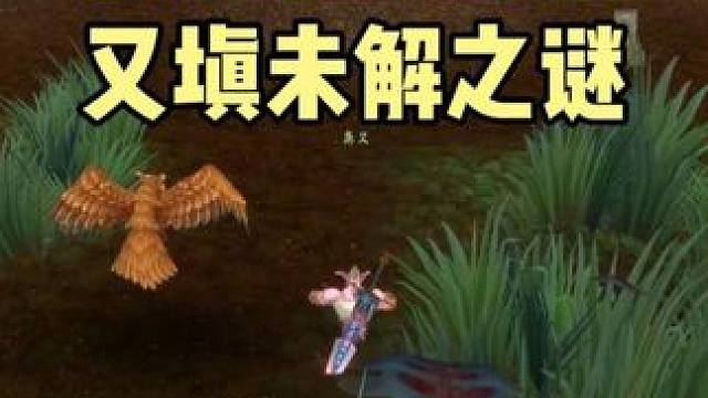 索拉查盆地又填未解之谜