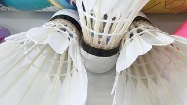 这款球是我挑了很久才发现的宝藏球，采用的是优质鸭毛，复合软木球头，飞行稳定，落地精准，非常适合训练以