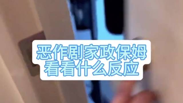 恶作剧家政系列