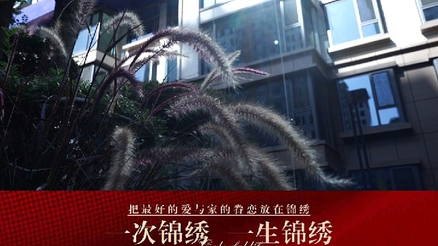 鹏悦锦绣嘉园B区