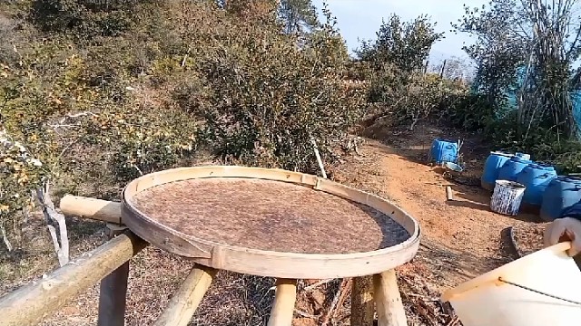 霜降茫茫，晒红薯丝……