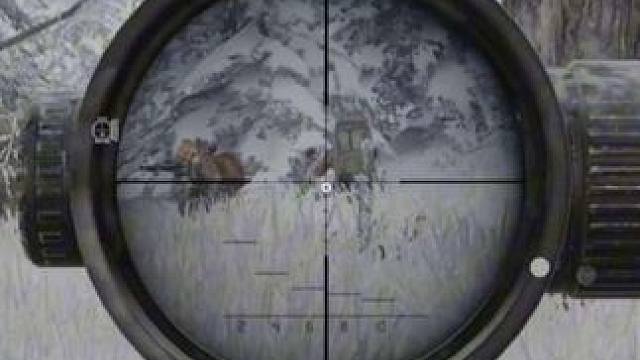 “开错图的电视台大肘子”