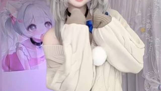 依旧猫猫