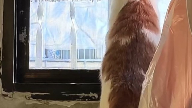 大哥捏？
