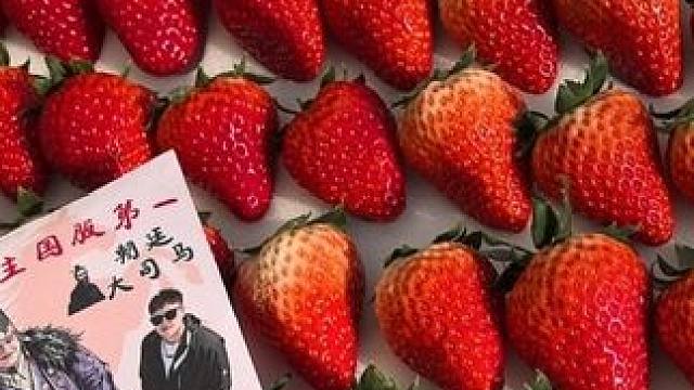 祝大家一马当先，马到成功！ 各位的丹东大草莓正在陆续发出！