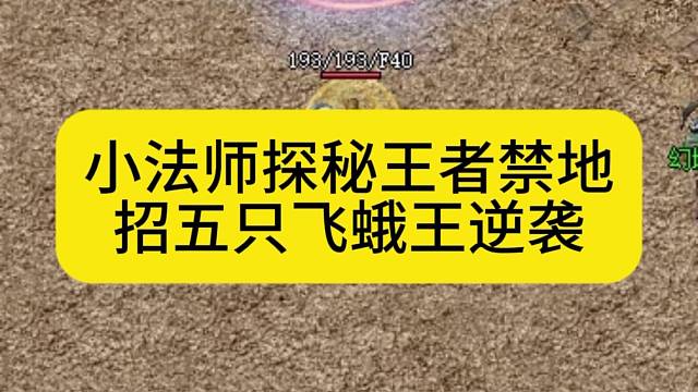 小法师探秘王者禁地，招五只飞蛾王逆袭