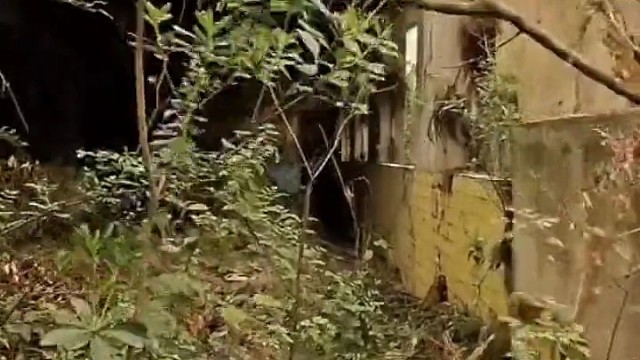 同学们 还好吗  又来看你们了