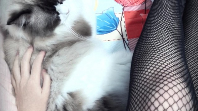 很庆幸能遇见，却也遗憾只能遇见。