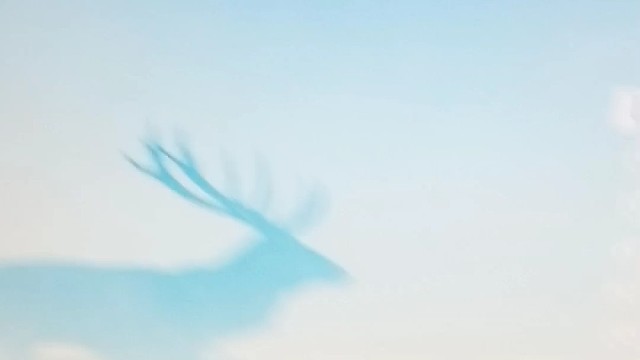 这个是用 U 盘安装系统因为电脑出了问题里面的磁盘坏了需要重装系统