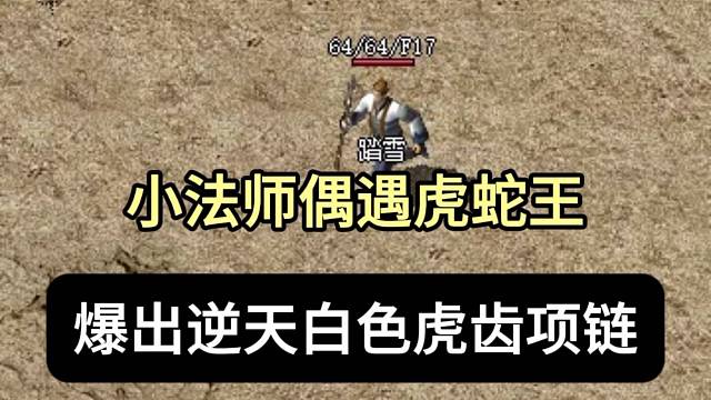 小法师偶遇虎蛇王，爆出逆天白色虎齿项链