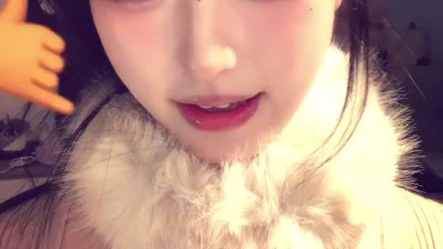 喵~喵~新年快乐喵~