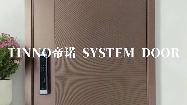 16视频.推开这扇门，艺术感从把手漫到纹理#TINNO帝诺系统入户门 #别墅门 #系统门