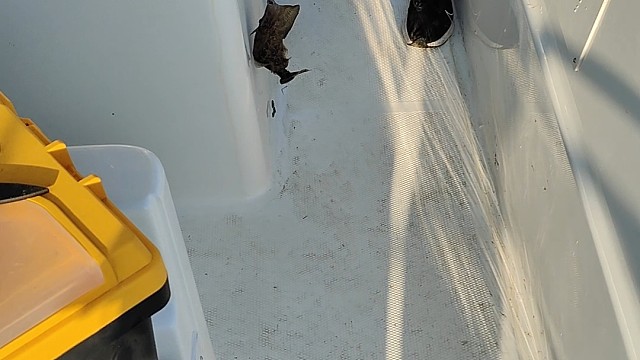 首次出海钓鱼！