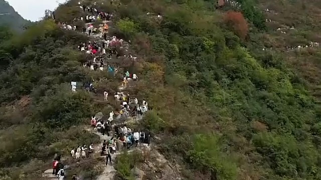 小时候看到的蚂蚁搬家就是这样子的[捂脸]