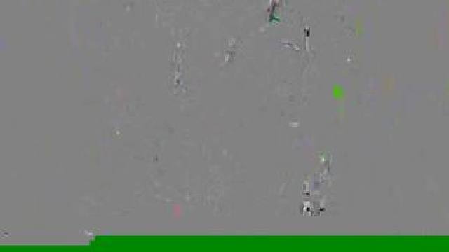 审核你好 我男的。