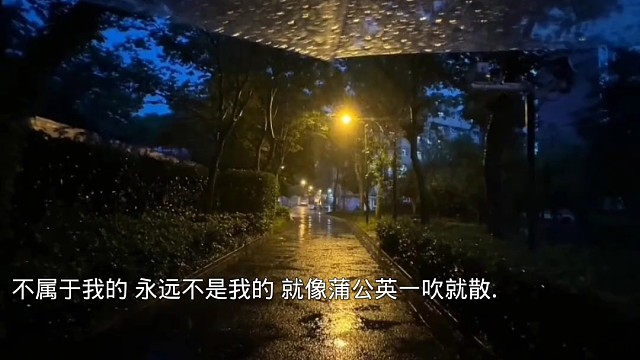 不属于我的，永远不是我的，就像蒲公英一吹就散