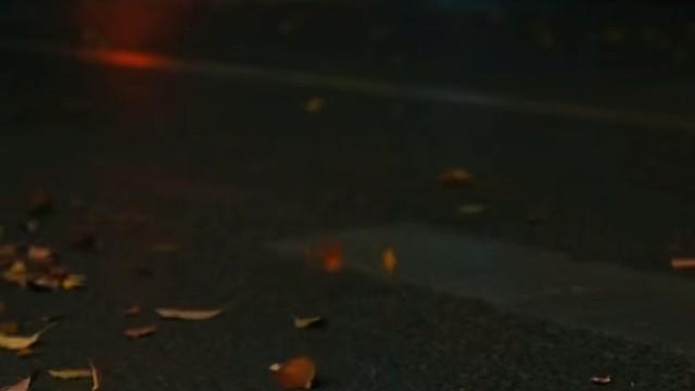 #夜景落叶 #温暖情感 #三毛说