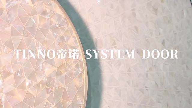 入户第一眼的‘高级感名片’#TINNO帝诺系统入户门 #别墅门 #系统门 #上海