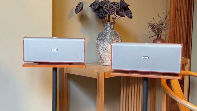 音质细腻，声音层次分明，下一代全景声音响