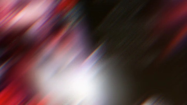 成功加入狗粮供应商行列