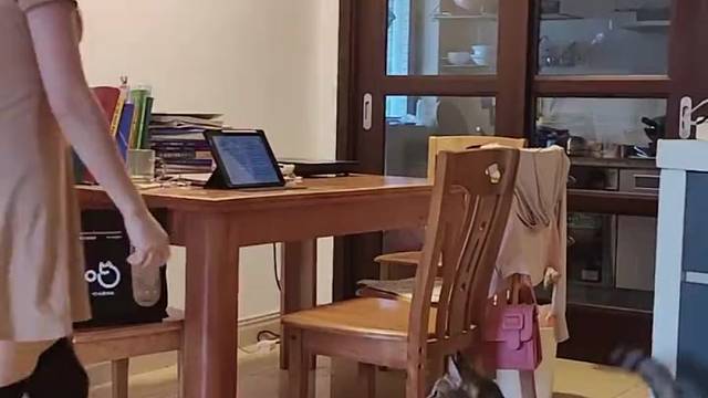 俩眼珠子给我忙坏了