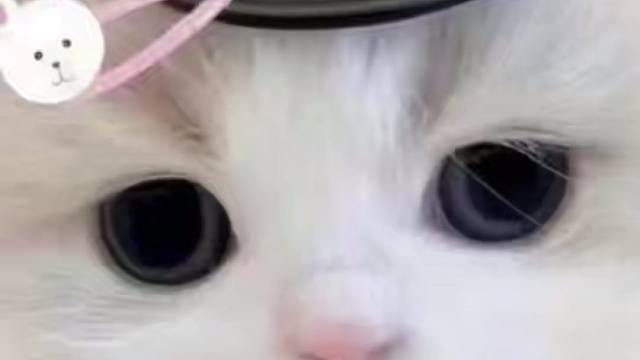 不灵不灵～在干嘛