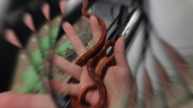 新的一年加油哦！