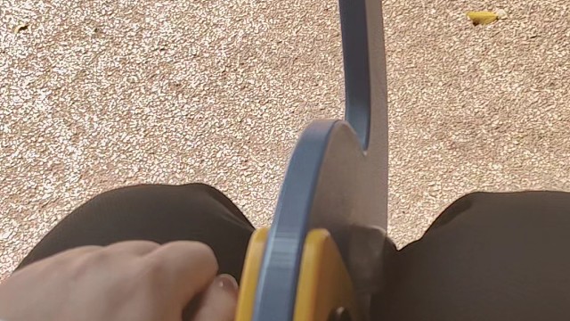 天气真好～出来玩呀～