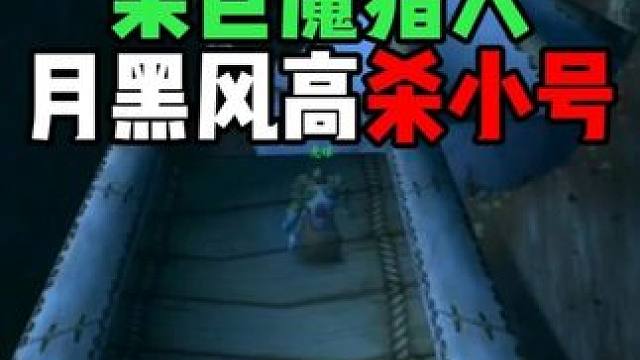 某巨魔猎人 月黑风高 杀小号