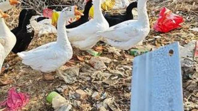 你什么身份？我带刀好人