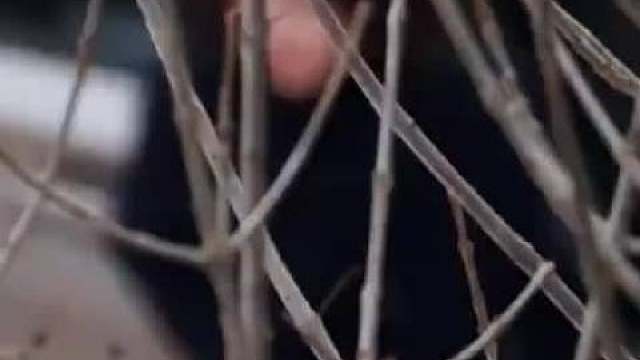 小聂总太飒了！黑色大衣短发造型超A ​​​