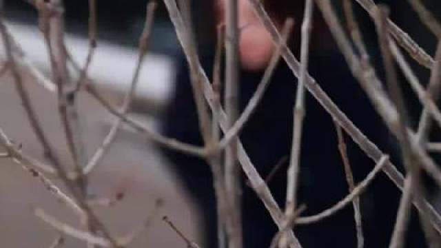 赵今麦整个北京最严厉的妈咪 黑色大衣短发造型真的超级A！！！ 小聂总登场 ​​​