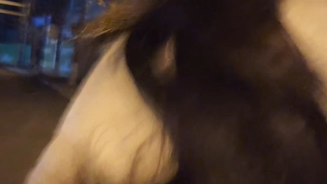 你叫我别回头你在身后，可我一回头，你人影都没有