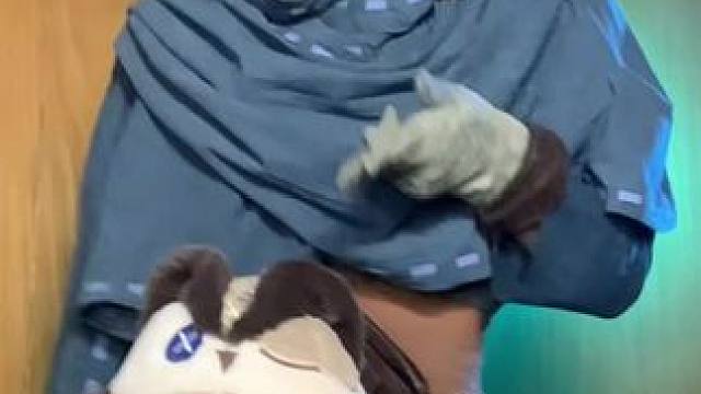 和电竞皮交流养鸟心得归来