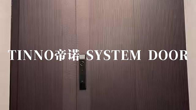 隐框肌理入户门，门面即墙面#TINNO帝诺系统入户门 #别墅门 #系统门 #上海