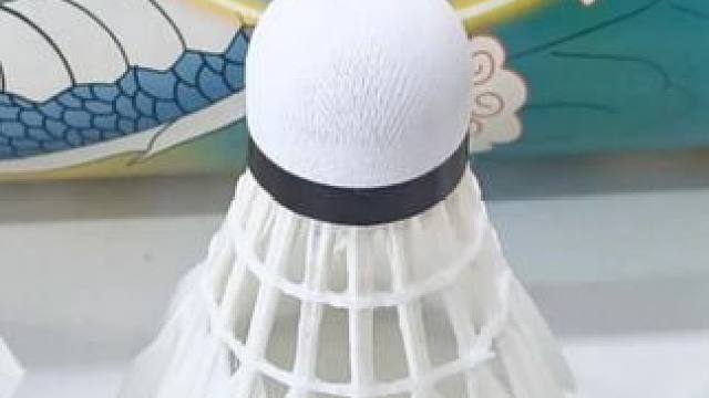 羽毛球就要选这种天然羽片的，打起来手感好，飞行稳，而且这款的话也不用担心价格会过高，爱打球的赶紧冲#