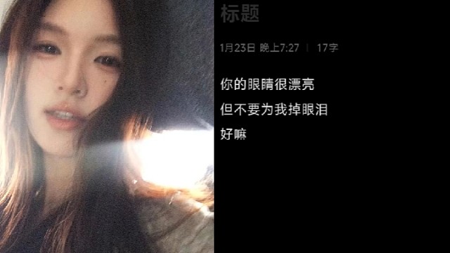 对我自己说的假话罢了