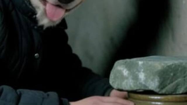 当我成为末世爽文男主……