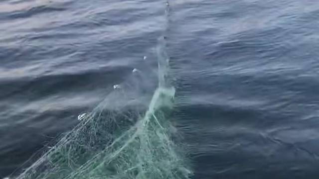 #户外捕鱼大队 #捕鱼河边随拍 #捕捞现场  #丝网捕鱼