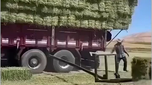 劳动人民的指慧[赞]